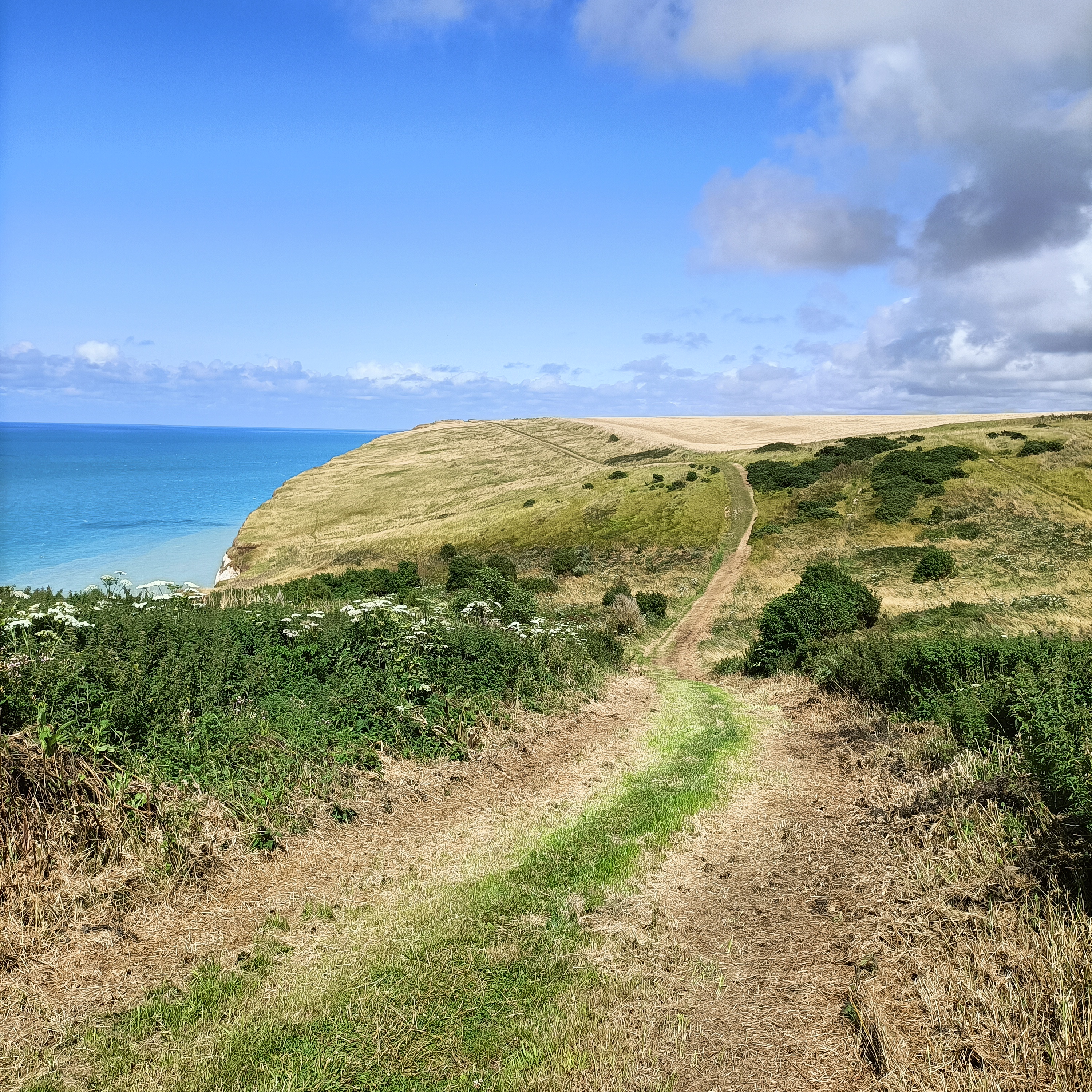 ((Exposition)) La nature dans tous ses états à Petit-Caux