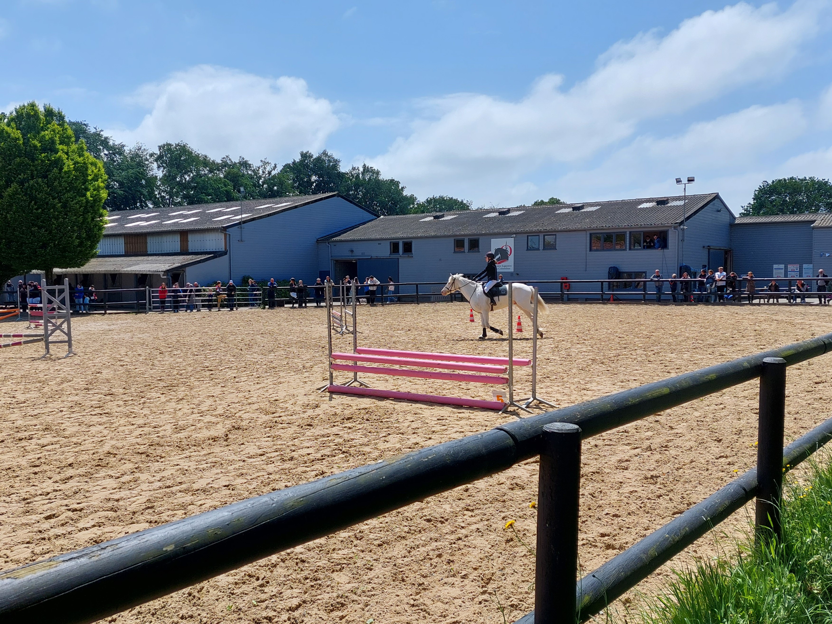 ((Equitation)) Concours de Saut d