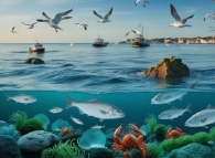 ((Randonnée)) La biodiversité du port de Dieppe Du 13 au 28 fév 2025