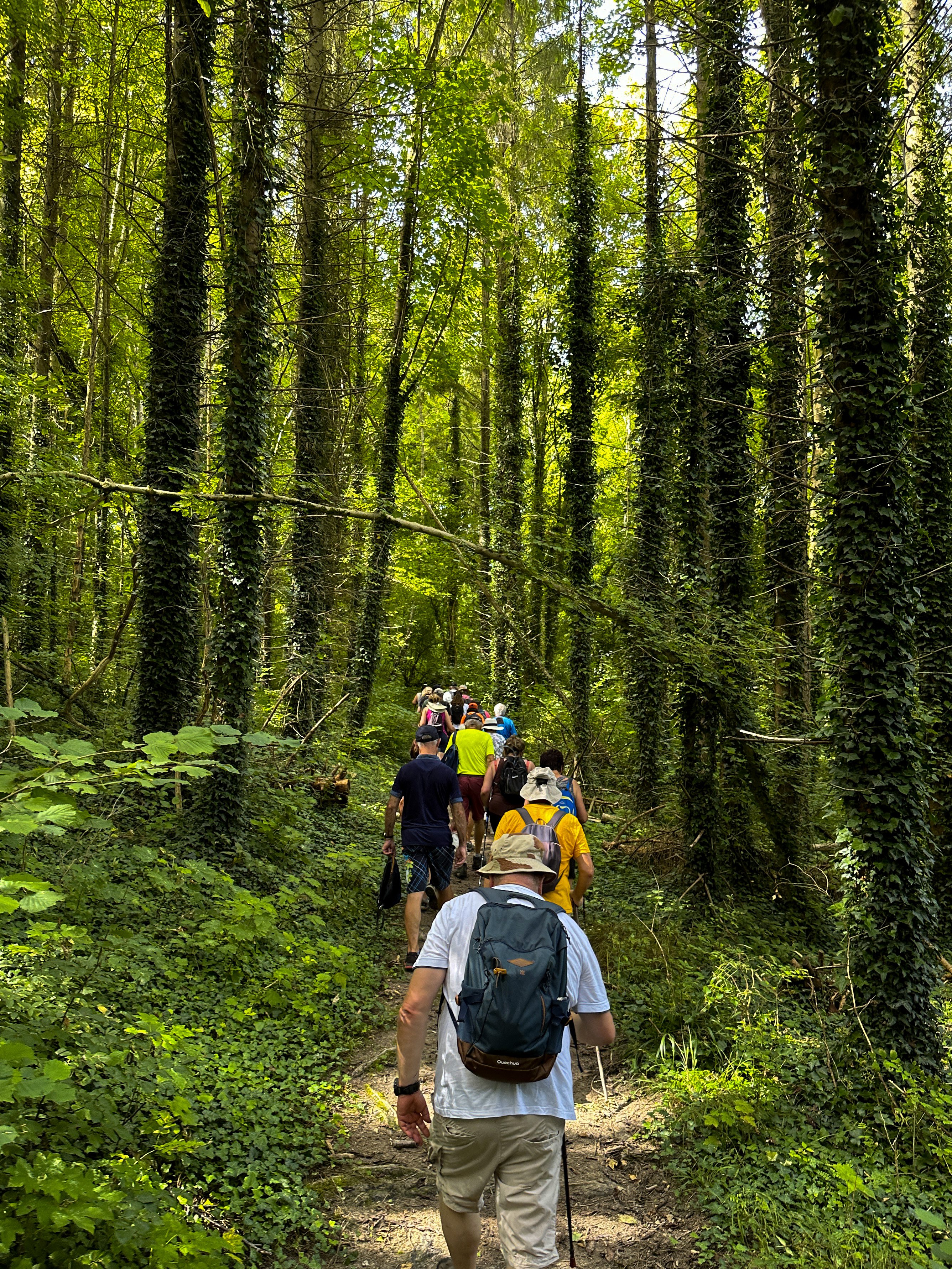 ((Balade nature)) Découverte de la forêt d