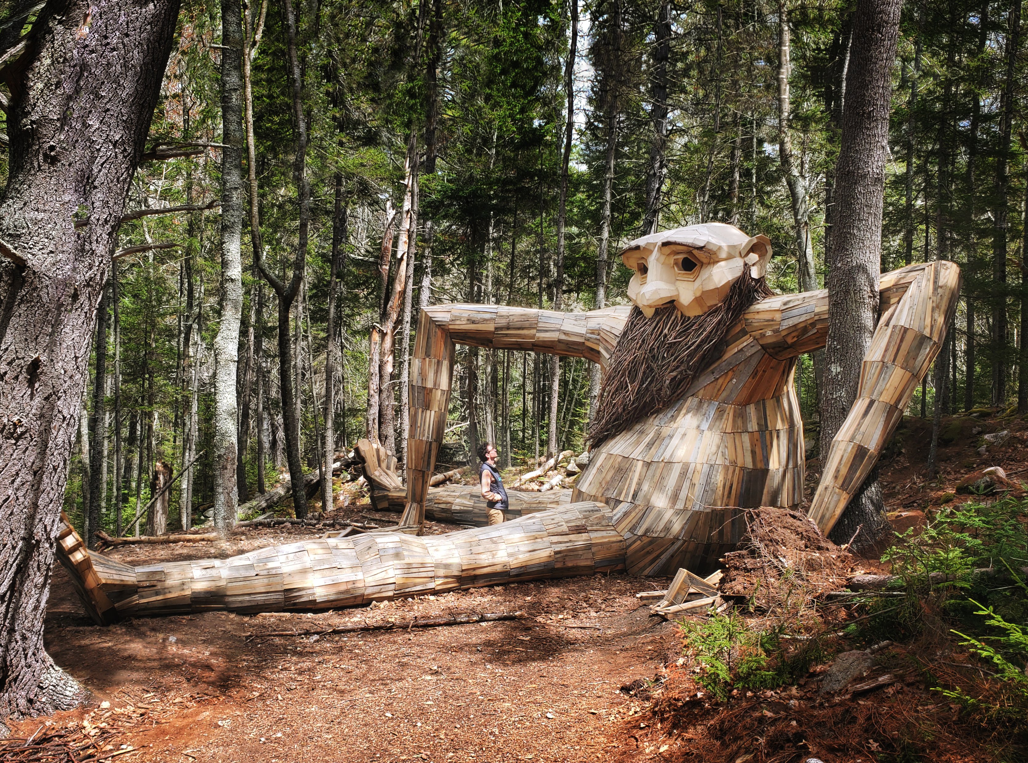 Forêt Monumentale - Visites guidées Du 30 juin au 13 oct 2024