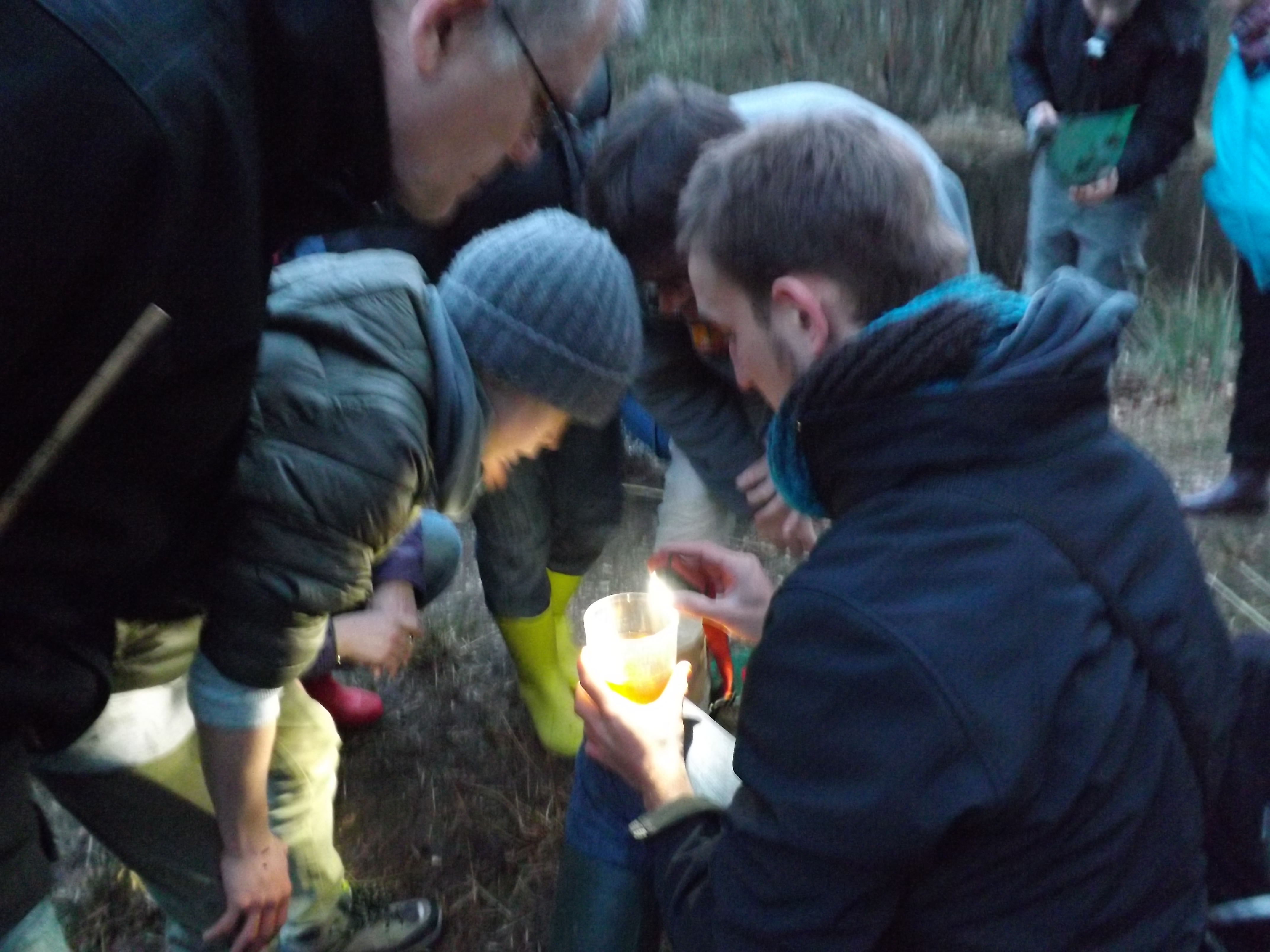 ((Sortie nature)) Nocturne au Bois des Communes