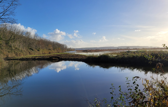 Sortie nature : Découverte de la réserve au marais... Le 25 oct 2024