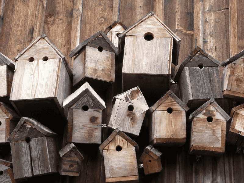 Découverte nature en famille - Je pelote donc je mange Du 12 fév au 12 mars 2025