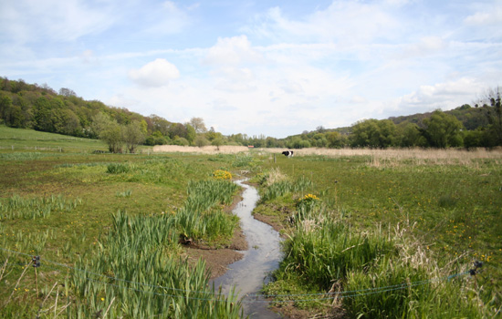 Sortie nature : Immersion naturelle en vallée humide Le 21 sept 2024