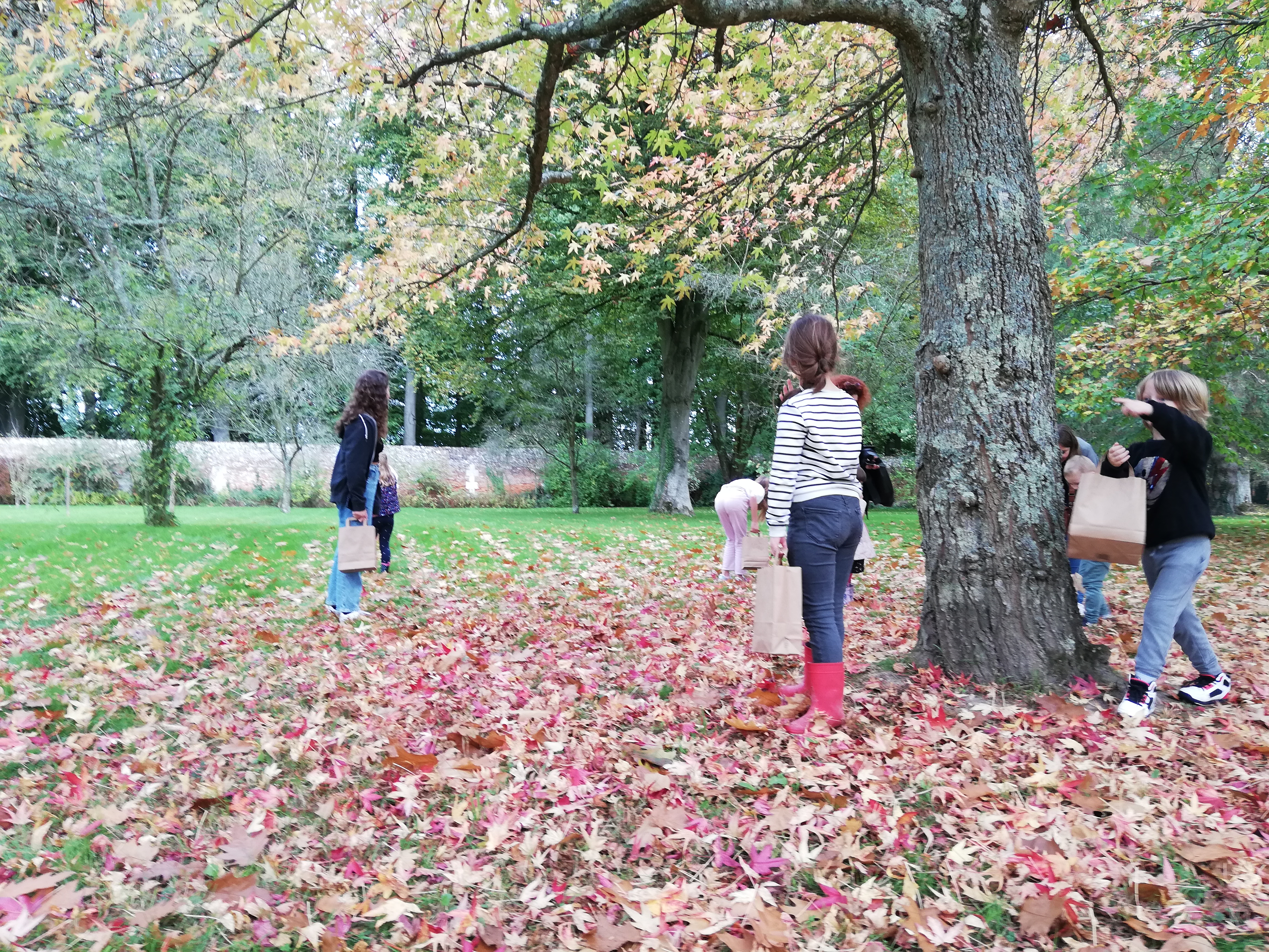 ((Animation enfant)) Les feuilles d