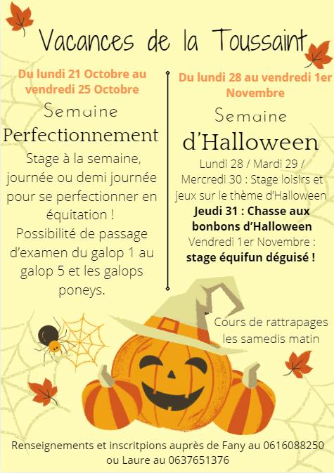 Stage de perfectionnement équestre Du 21 au 25 oct 2024