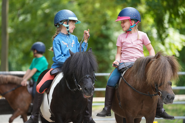 Fête du Club Equi Normandie - Haras du Loup Le 22 juin 2025