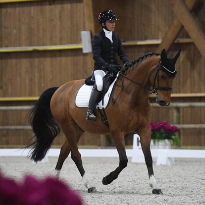 Concours régional de dressage - Haras du Loup Du 1 mars au 29 juin 2025