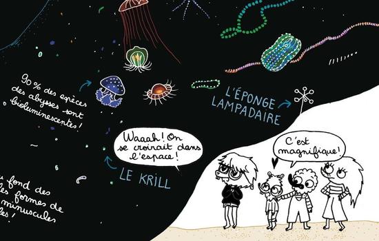 Conférence dessinée : La super fresque de l