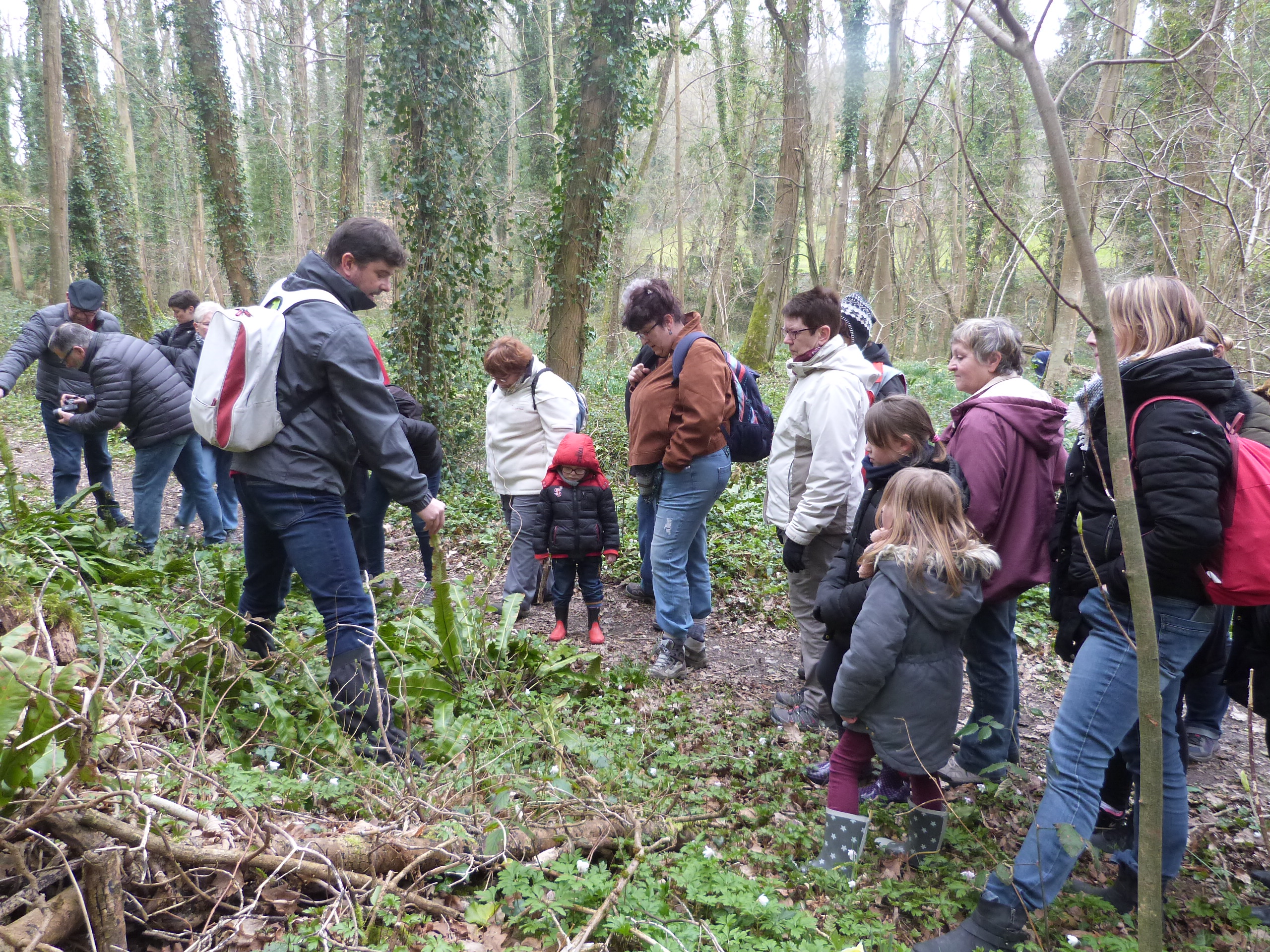 ((Balade Nature)) Terre et Mer autour du Bois de Bernouville Le 16 nov 2024