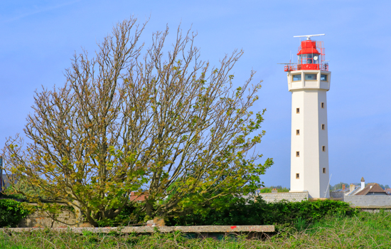 Sortie nature : Batterie de Dollemard et Cap de la Hève... Le 16 nov 2024