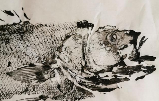 Exposition : "Gyotaku, empreinte de poisson" - Christine Scarano-Blet