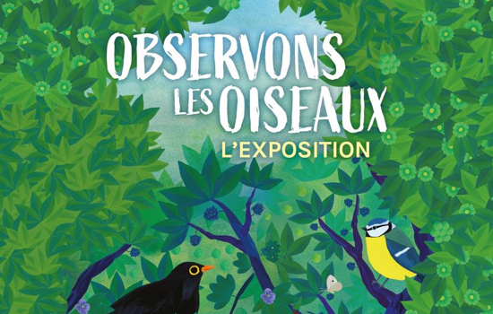 Exposition : "Observons les oiseaux" Du 11 janv au 15 fév 2025