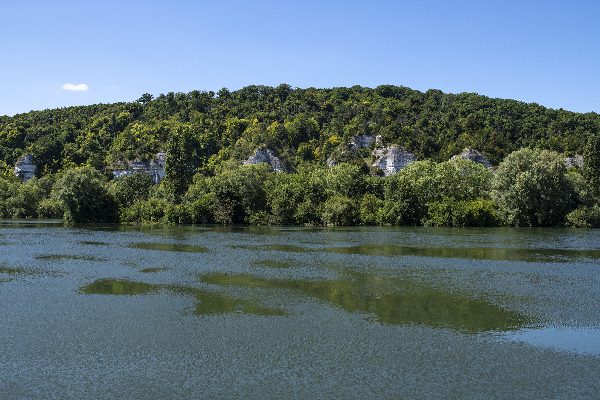 Animations - Naturellement Du 6 au 8 déc 2024