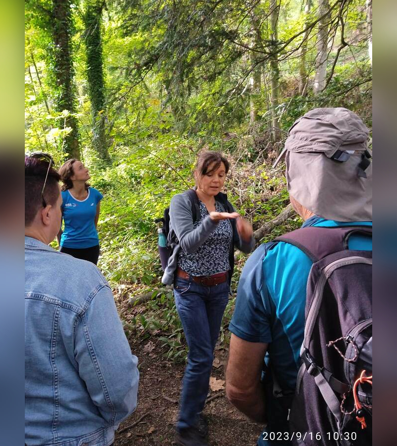 Visite guidée : balade nature