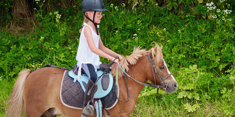 Stage de Noël à poney Du 23 au 28 déc 2024