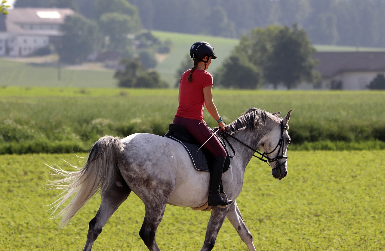 Balade à cheval de la nouvelle année Le 2 janv 2025