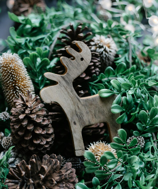 Atelier enfants : décoration naturelle pour Noël