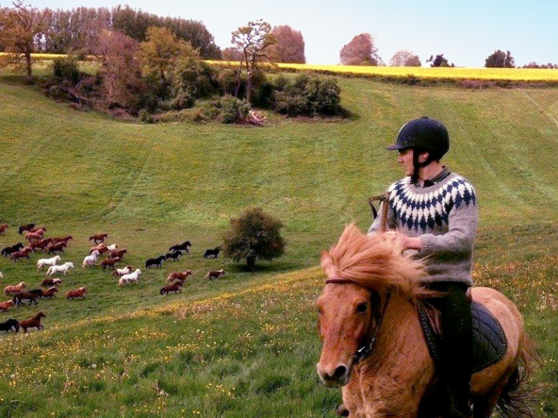 Les 60 ans du Poney-club de Bois-Guilbert Du 10 au 11 mai 2025