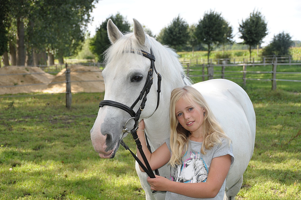 Balade de Noël à cheval déguisée Le 26 déc 2024