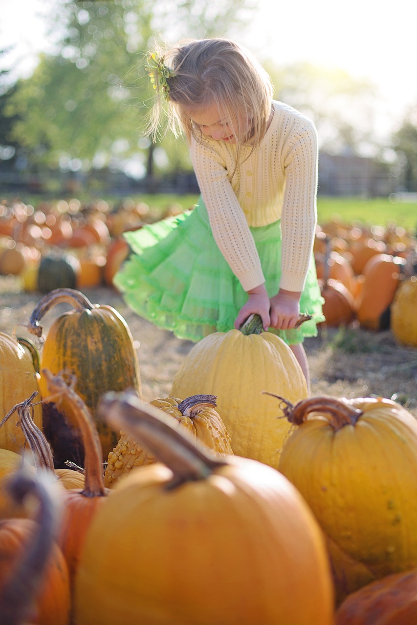 Atelier enfants : décoration cucurbitacée