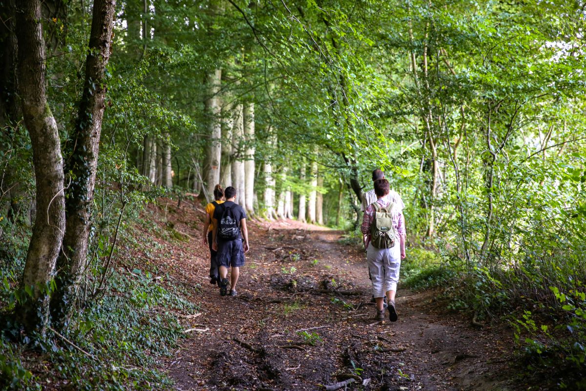 Découvrons nos voies vertes - Randonnée pédestre 