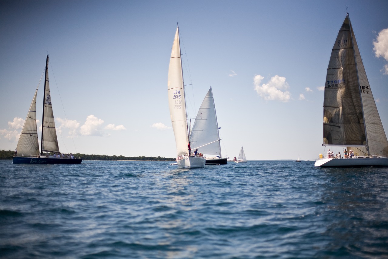 ((Voiles)) Régate des Harengs Du 16 au 17 nov 2024