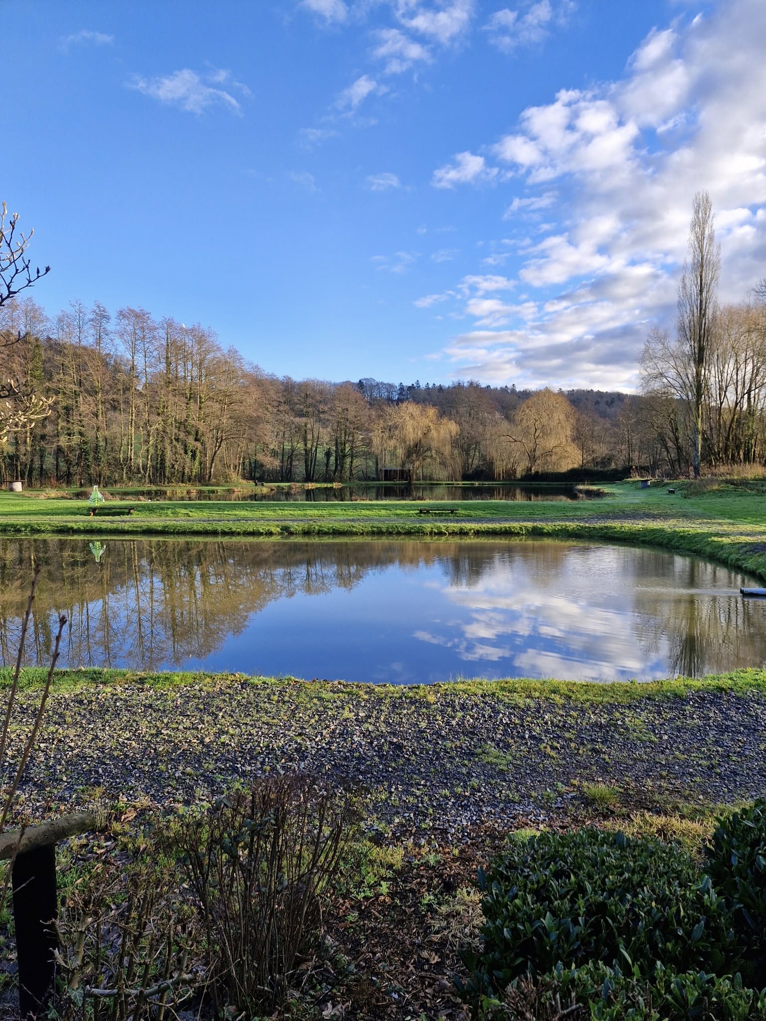 ©Les Etangs de la Roche Fontaine (2)