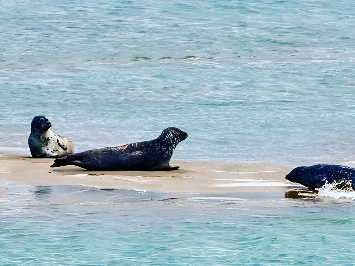 Design sans titre - 10