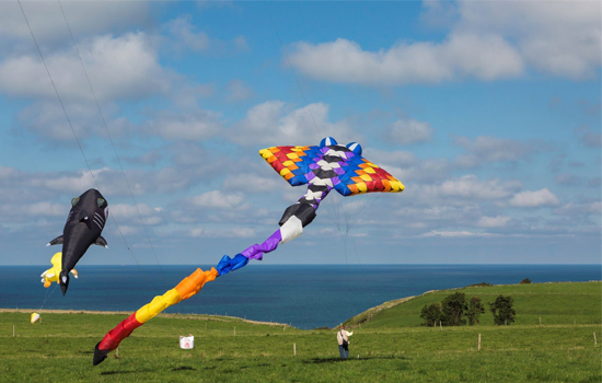 Festival de cerfs-volants