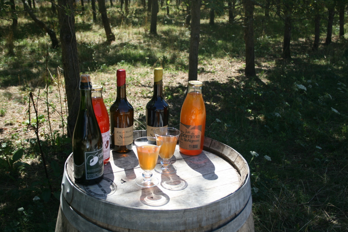 Cidrerie de Saint-Aignan-sur-Ry_produits du terroir