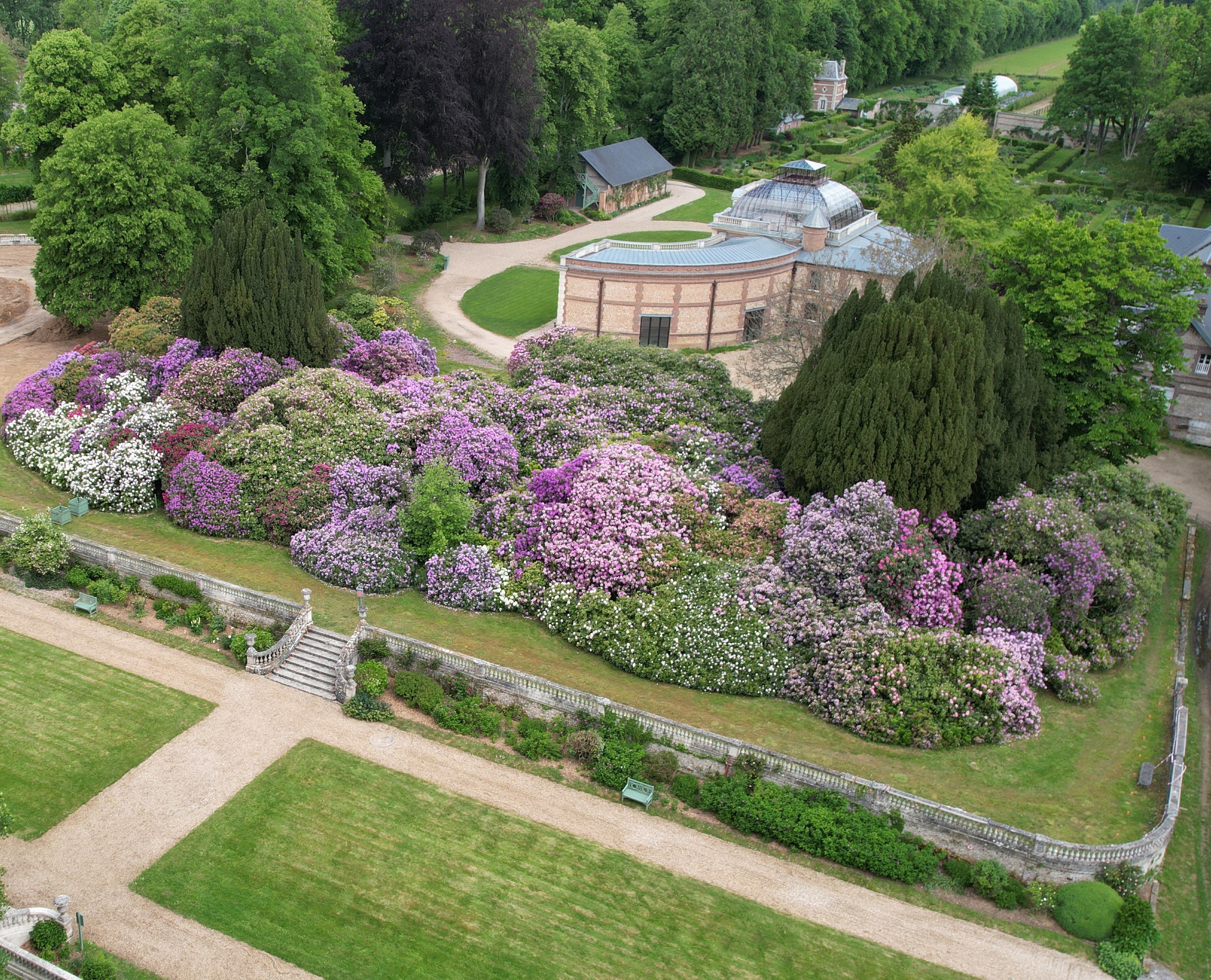 Jardin bas et foru00eat de rhododendrons - domaine du Grand Daubeuf 2022