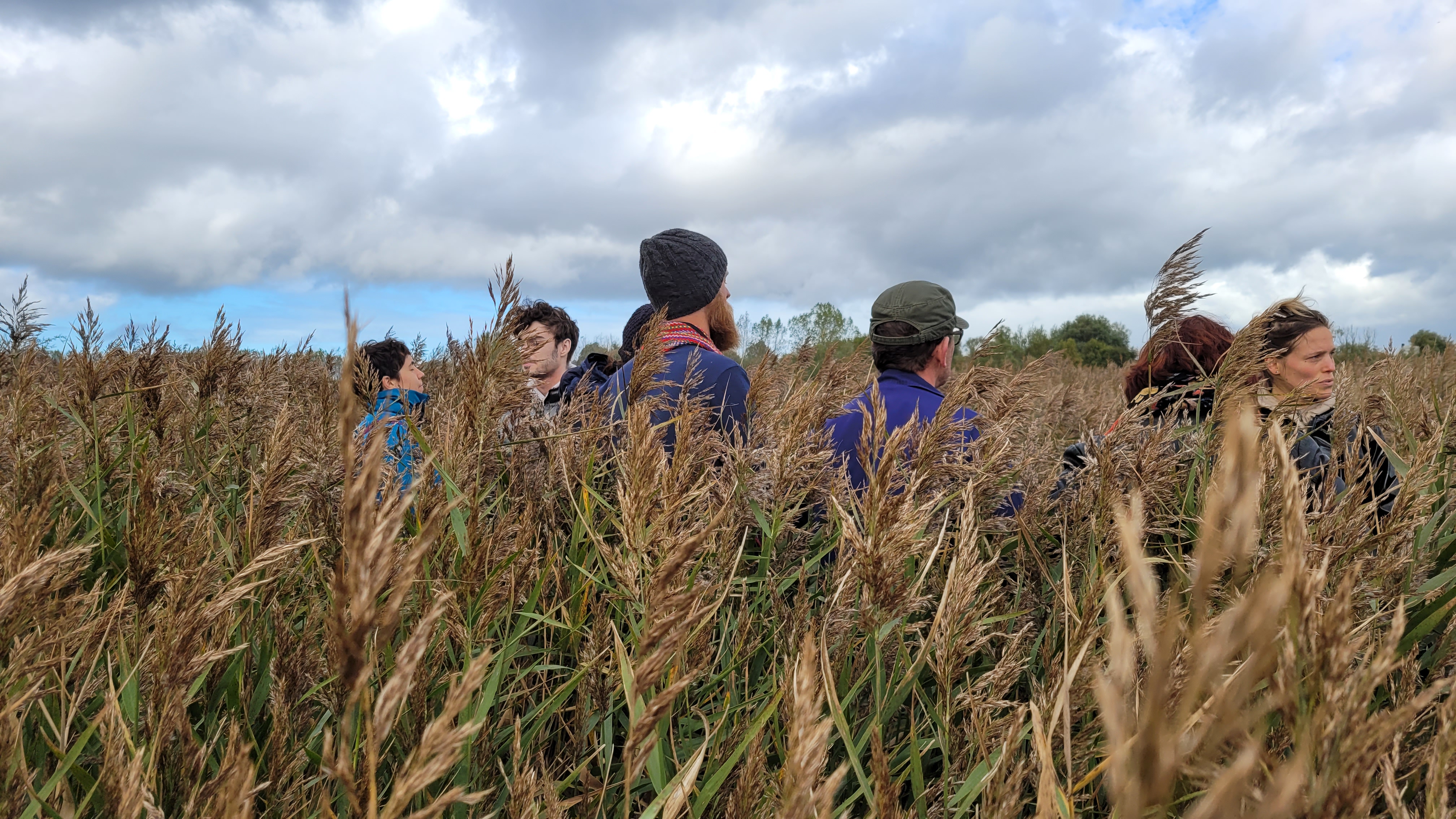 Balade sensible dans les roseaux