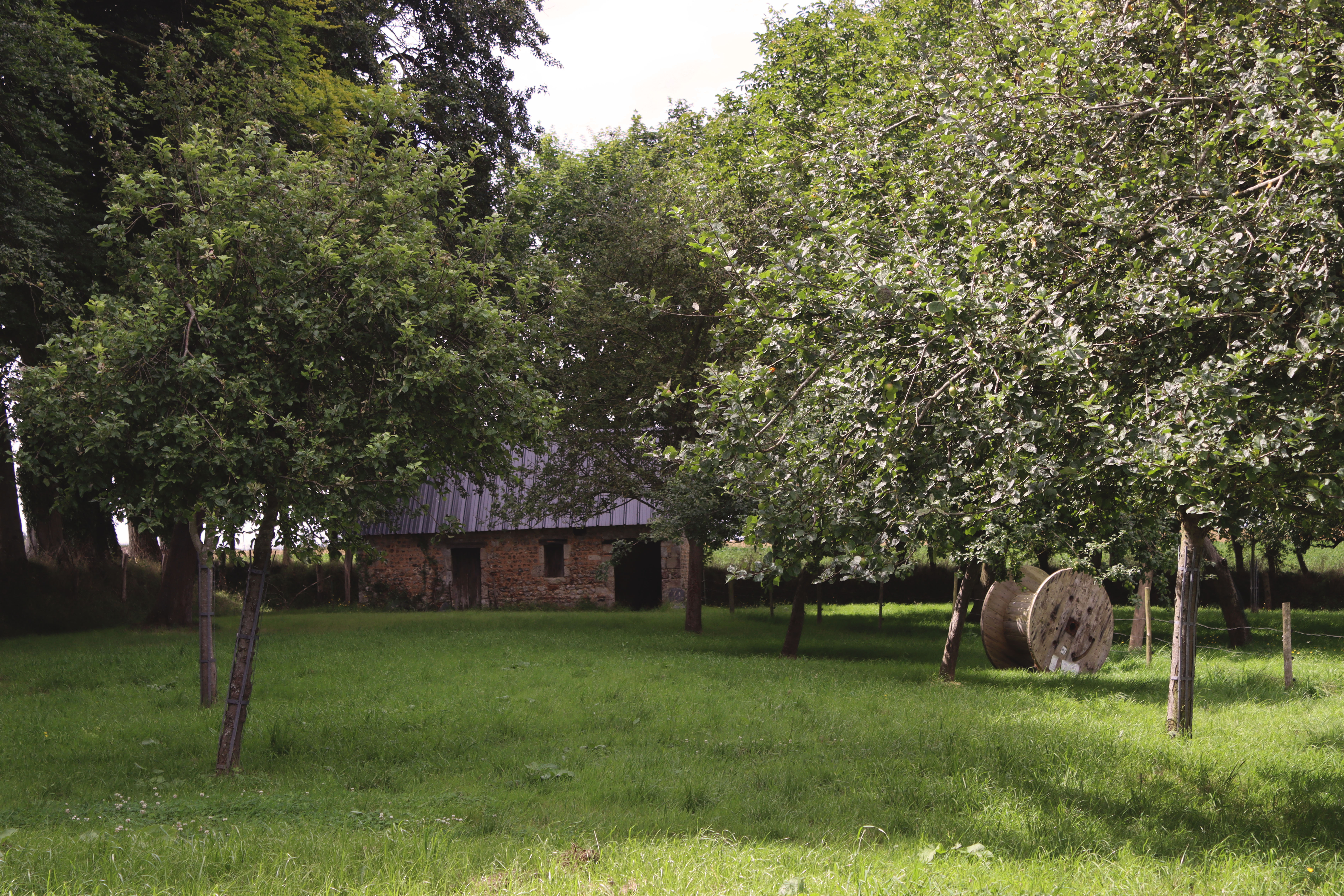 20240807_O pressoir des hautes falaises_cidrerie navarre_credit OIT FECAMP (5)
