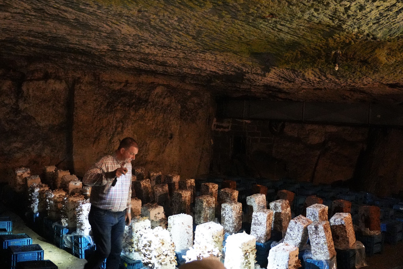 2025- Visite guidée par Mr Olivier Perrel propriétaire de la champignonnière d'Orbec (10)