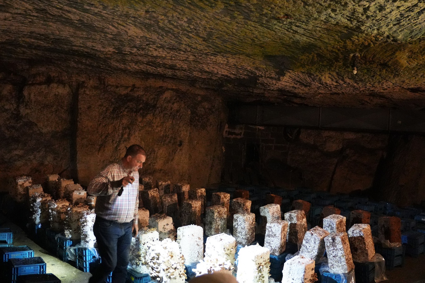 2025- Visite guidée par Mr Olivier Perrel propriétaire de la champignonnière d'Orbec (9)