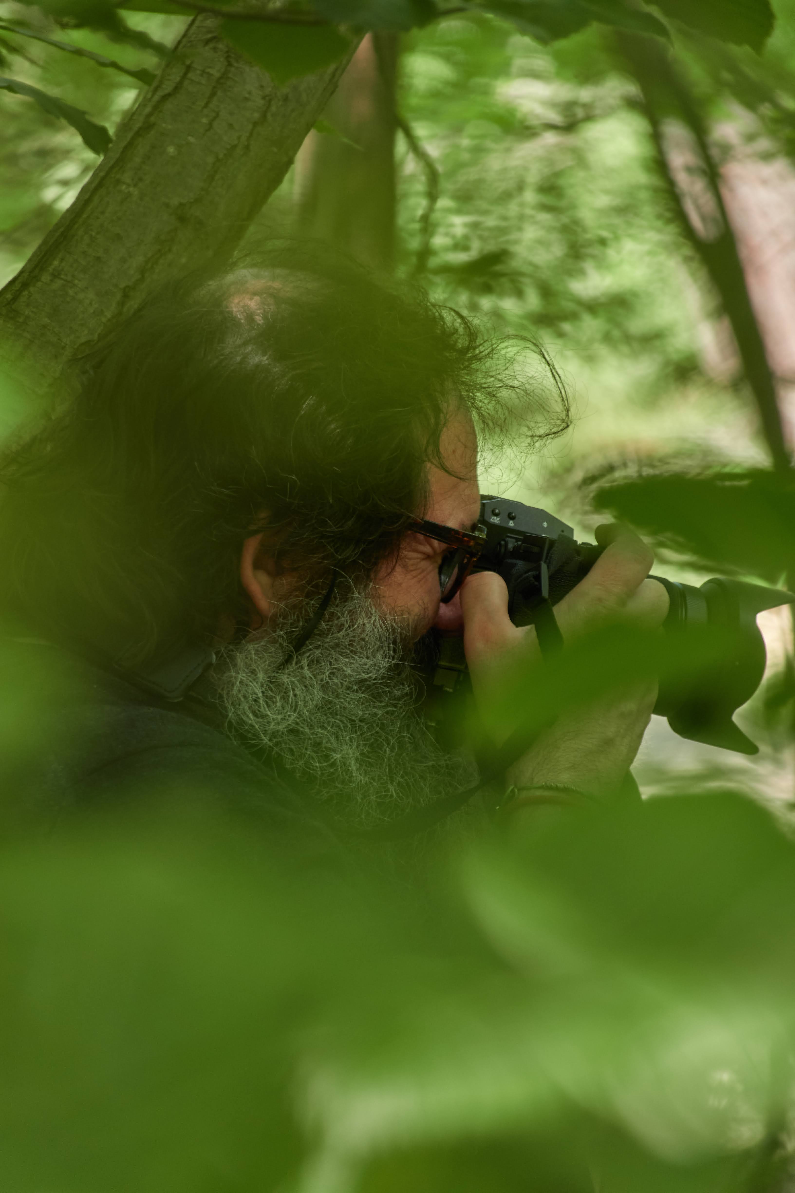 [Exposition temporaire] "A fleur de forêt" de Jacques Perconte