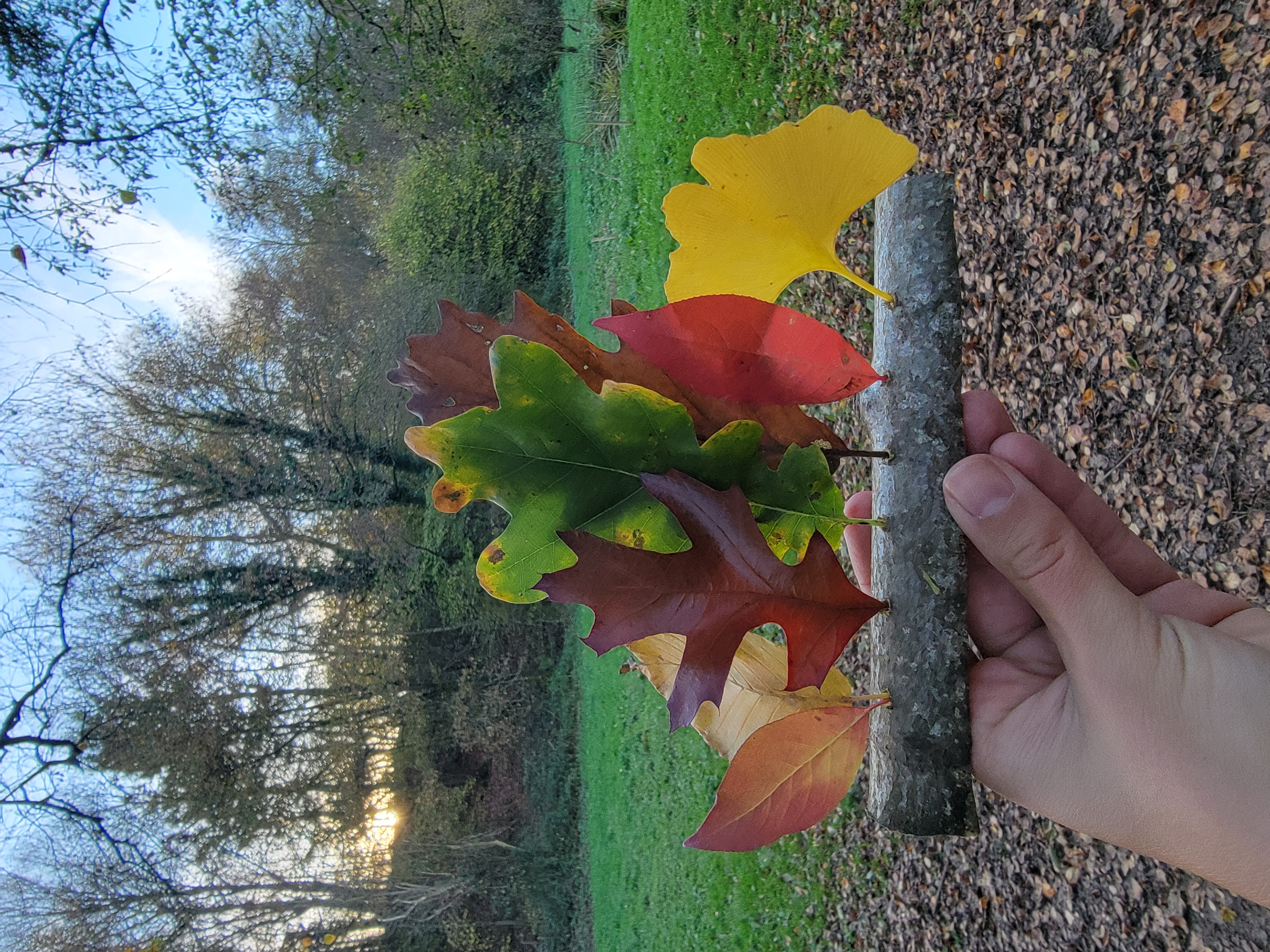 Creations natures 100% connexion