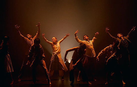 Danse : In the Brain