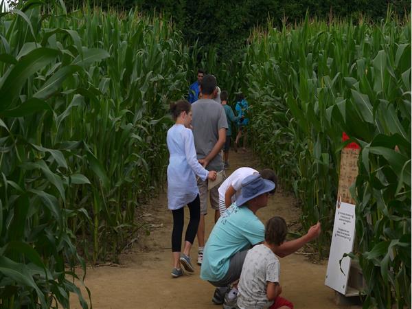 Labyrinthe de l'Estuaire