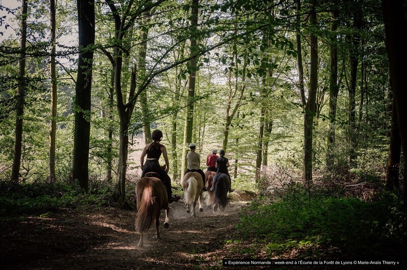 Écurie de la Forêt de Lyons - photo 6