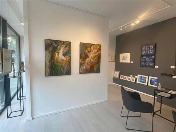 Agnès Szaboova Gallery