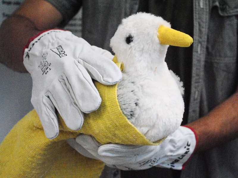Atelier - Découverte du métier de soigneur animalier