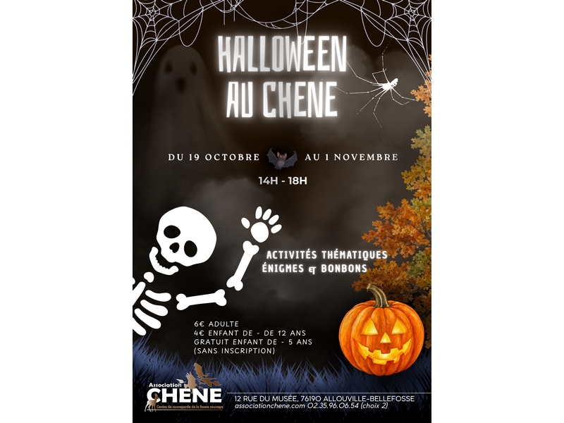 Halloween au CHENE