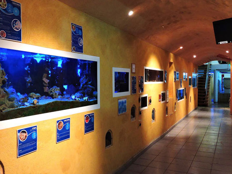 Aquacaux-800x600---2