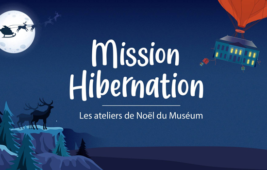 Atelier du Muséum - Mission hibernation