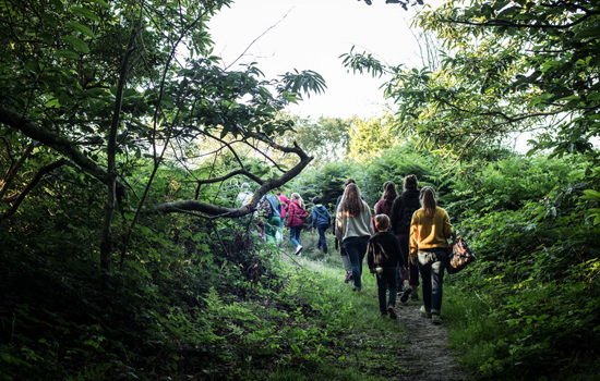 L'Explorateur : Balade naturaliste à Saint-Aubin-Routot
