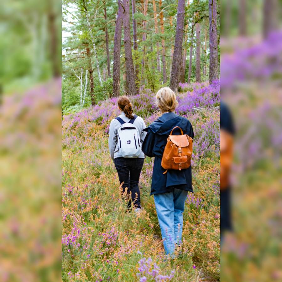 Nature en famille : trésors d'automne