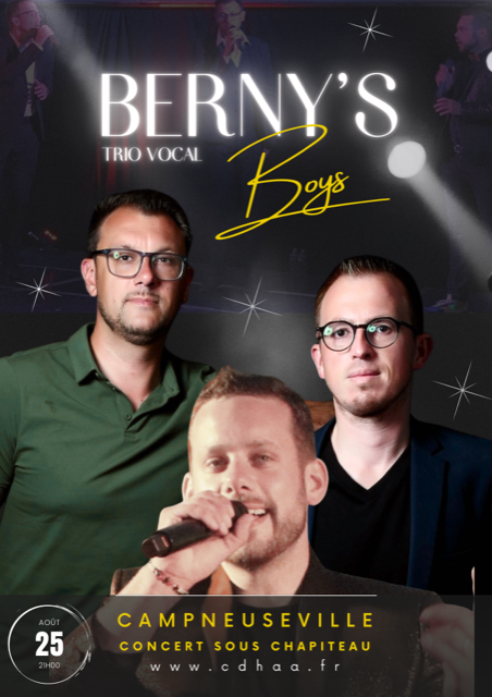 Bernys boys - Trio vocal